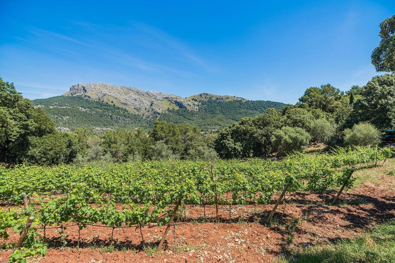 Picassa Villa Pollença Exterior foto